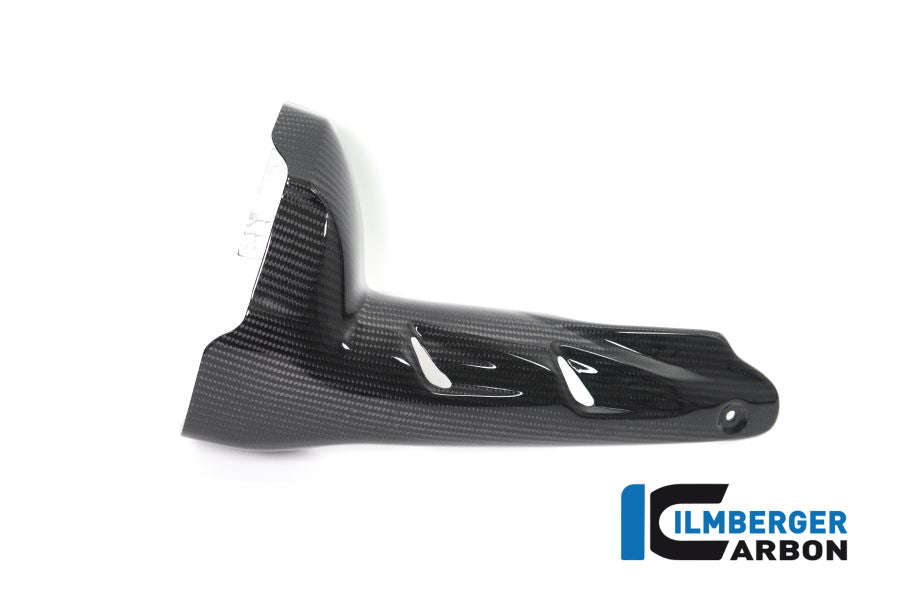 Ilmberger Carbon Silencer Protector (Front) BMW R 1250 GS From 2019