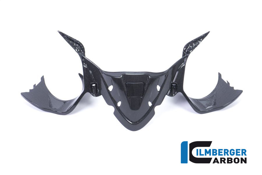 Ilmberger Carbon Instrument Panel With GPS Gloss Ducati Panigale 1299 (From 2015)