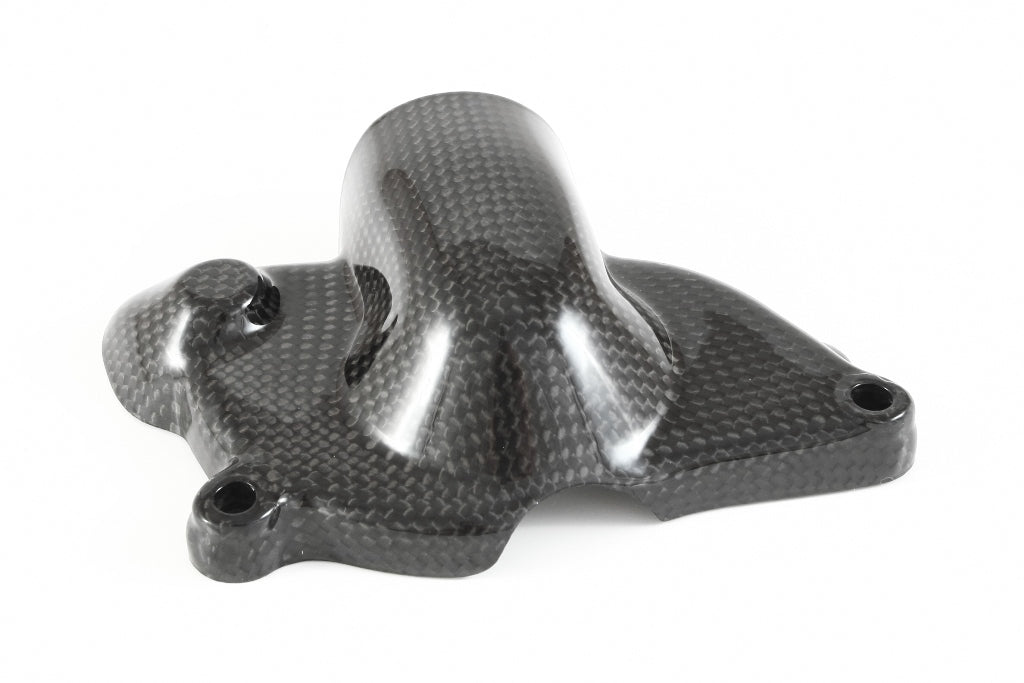 Fullsix Carbon Water Pump Protection Guard