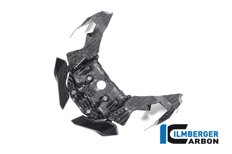 Ilmberger Carbon Front Beak Extension S 1000 XR From MY 2020