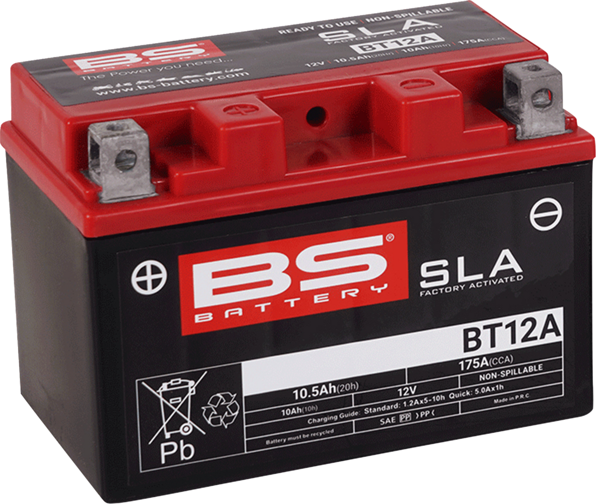 BS Battery Battery - BT12A (YT)