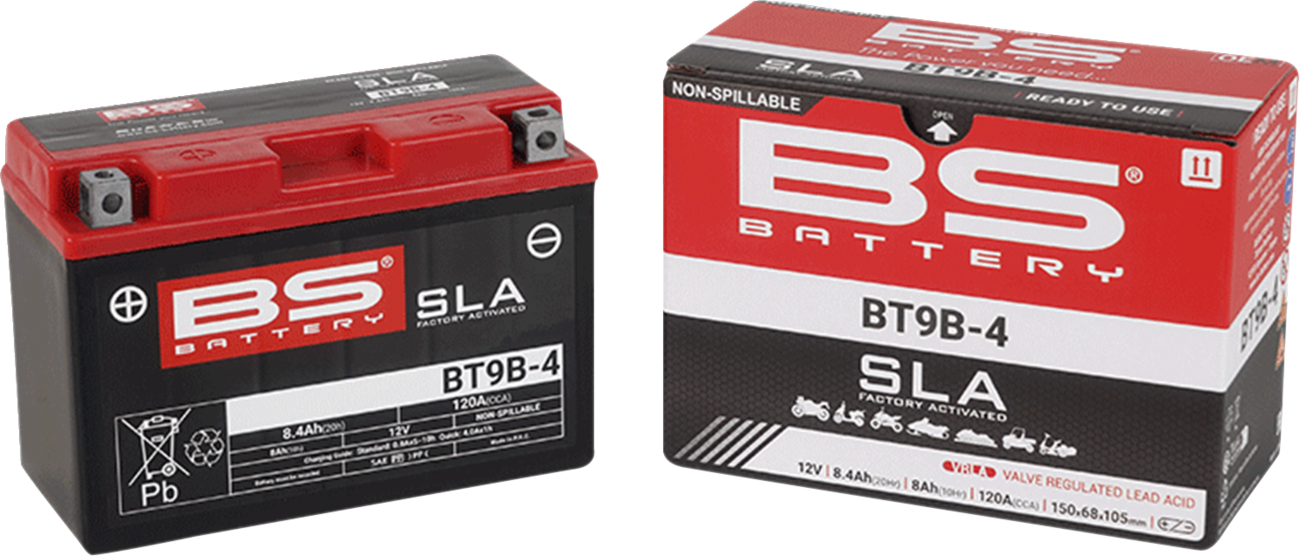BS Battery Battery - BT9B-4 (YT)