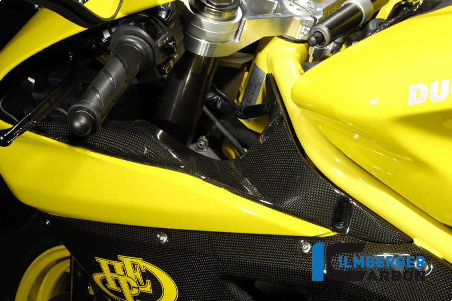 Ilmberger Carbon Wind Tunnel Covers Pair Carbon
