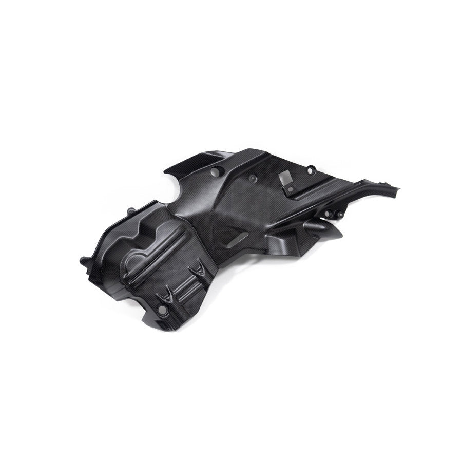Ilmberger Carbon Fiber Right Side Engine Cover Ducati Diavel V4