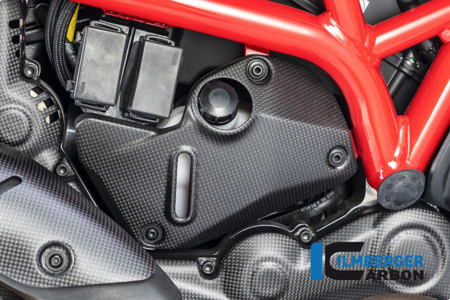Ilmberger Carbon Cover Under The Frame Right Side - Matte