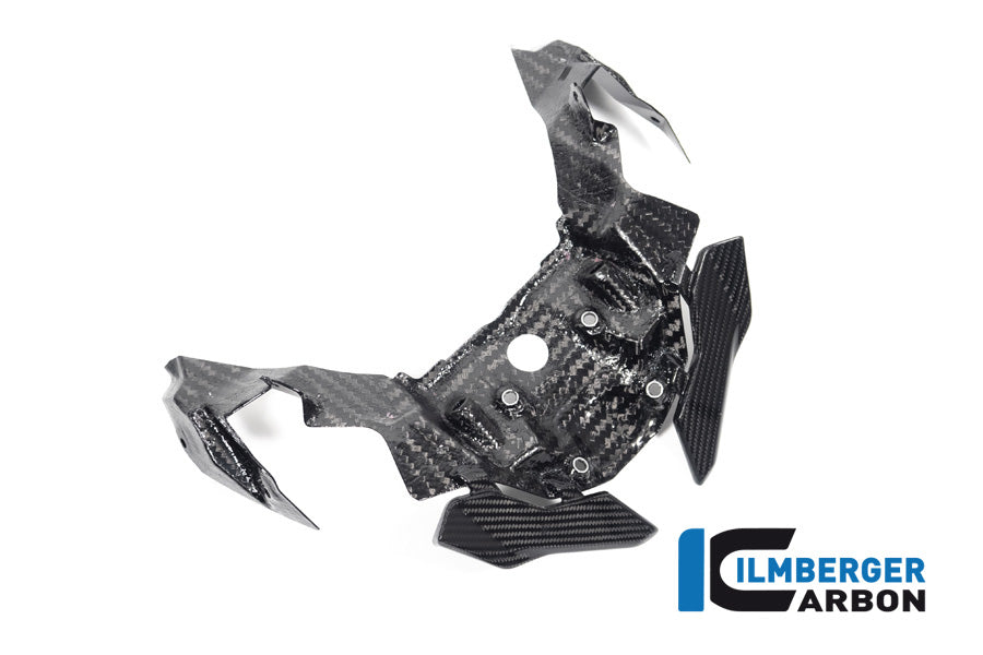 Ilmberger Carbon Front Beak Extension S 1000 XR From MY 2020