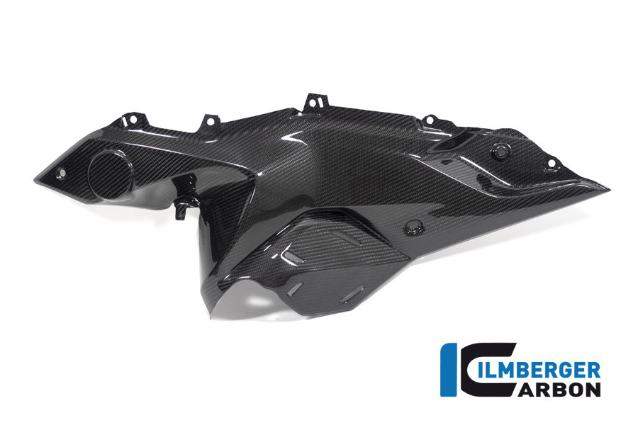 Ilmberger Carbon Side Panel Under The Tank Left Side BMW R 1250 RS