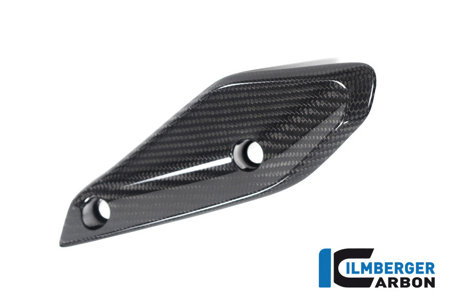 Ilmberger Carbon Flap On The Fairing Left Side BMW R 1250 RS
