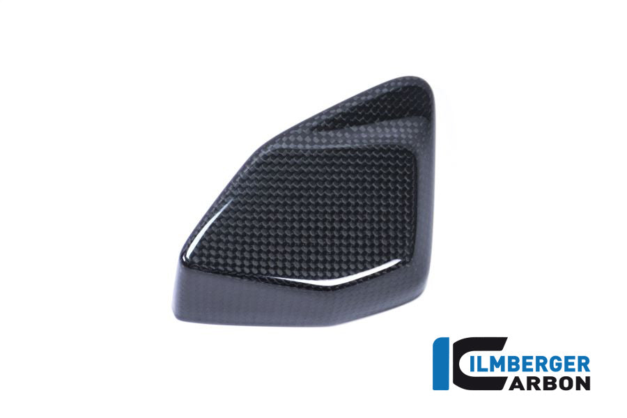 Ilmberger Carbon ESA Box Cover BMW R 1200 GS