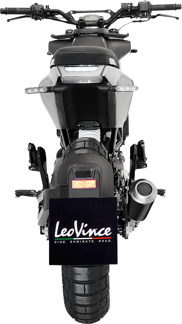 LeoVince LV-10 Slip-On Muffler - Carbon Fiber