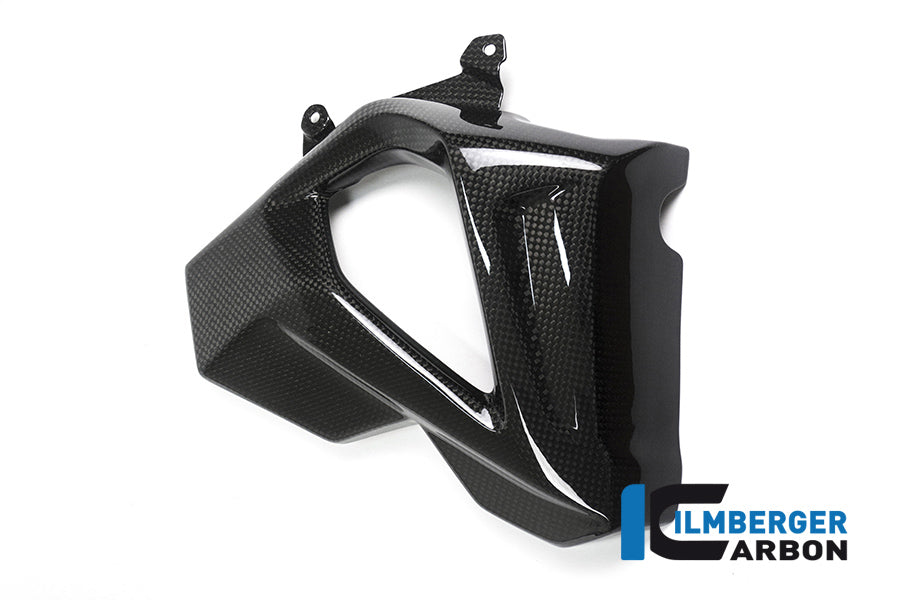 Ilmberger Carbon Right Radiator Cover