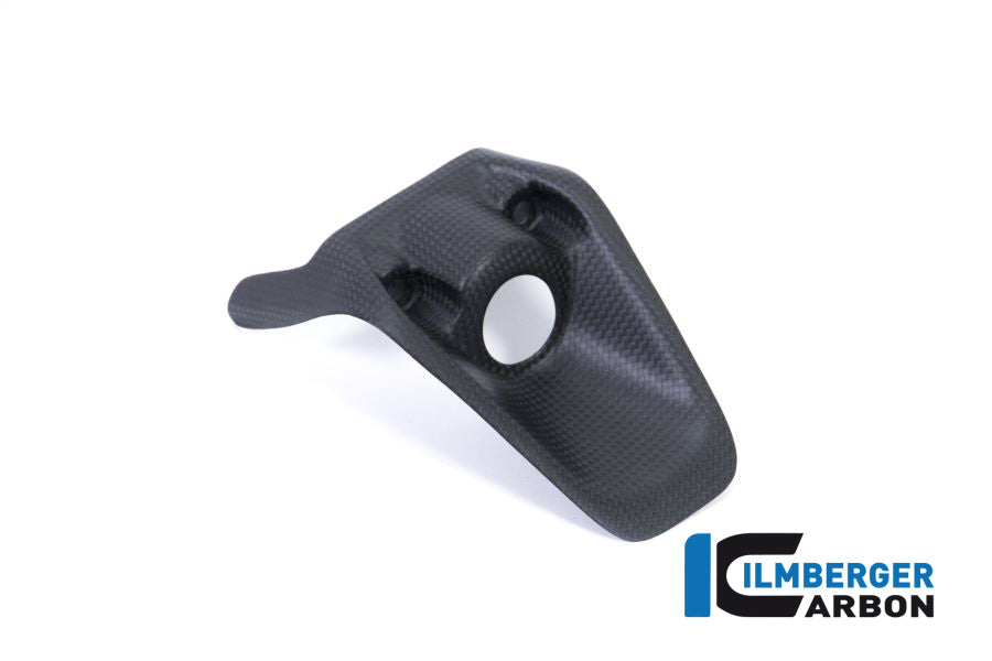 Ilmberger Carbon Ignition Switch Cover Ducati Monster 1200R - Matte