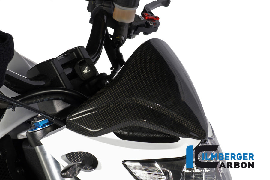 Ilmberger Carbon Windshield Carbon