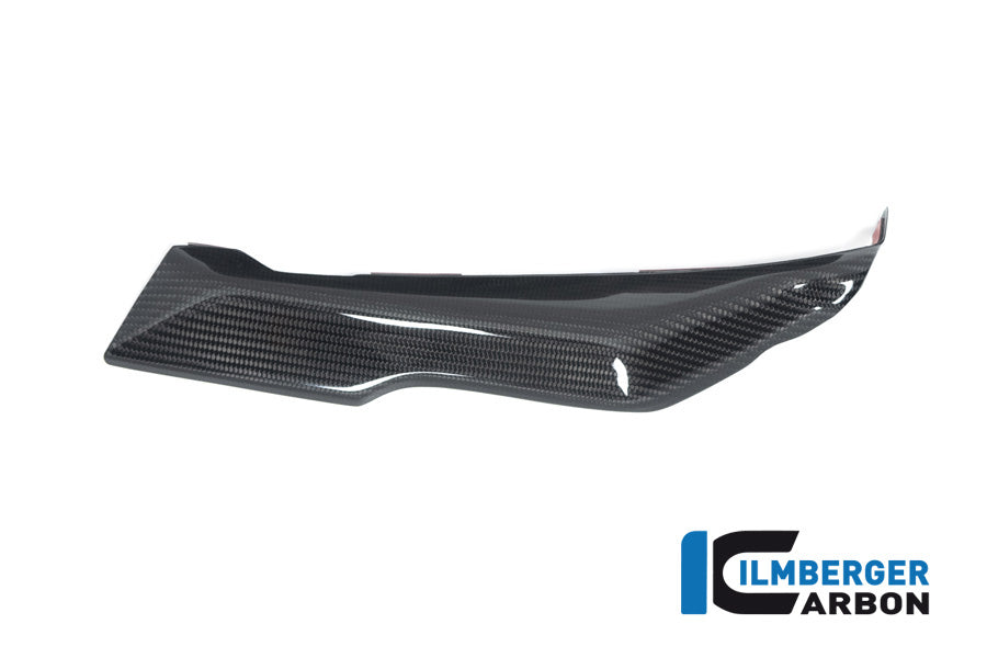 Ilmberger Carbon Cover Under The Front Fairing Right Side BMW R 1250 RS