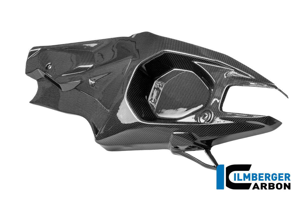 Ilmberger Carbon Swingarm Cover Left Ducati Panigale V4 R 2025
