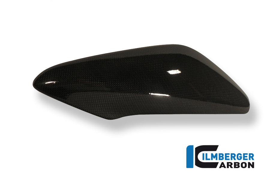 Ilmberger Carbon Side Cover Above The Radiator Right Carbon