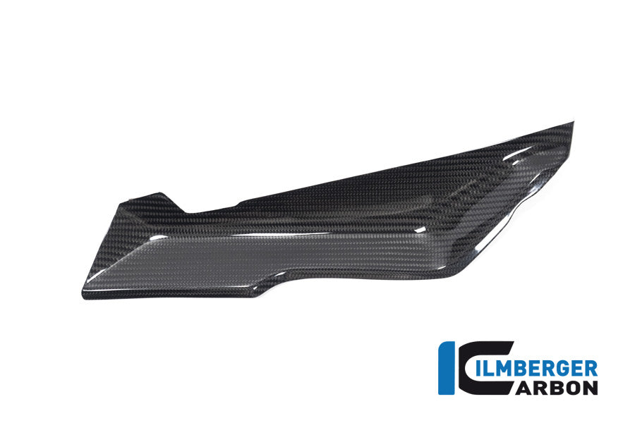 Ilmberger Carbon Cover Under The Front Fairing Right Side BMW R 1250 RS
