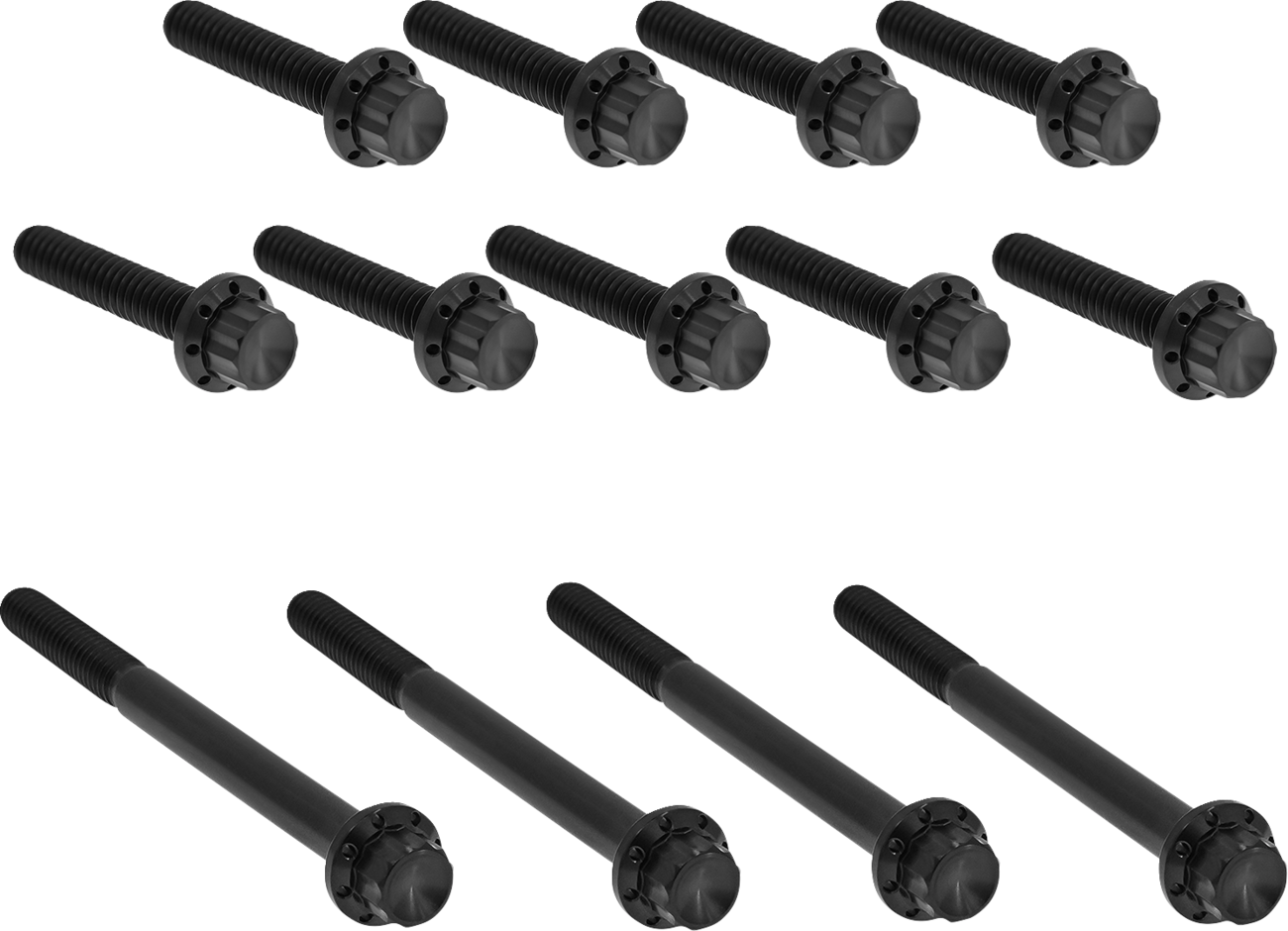 Arlen NESS Bolt Kit - Primary Cover - Titanium - 12-Point - Twin Cam - Black