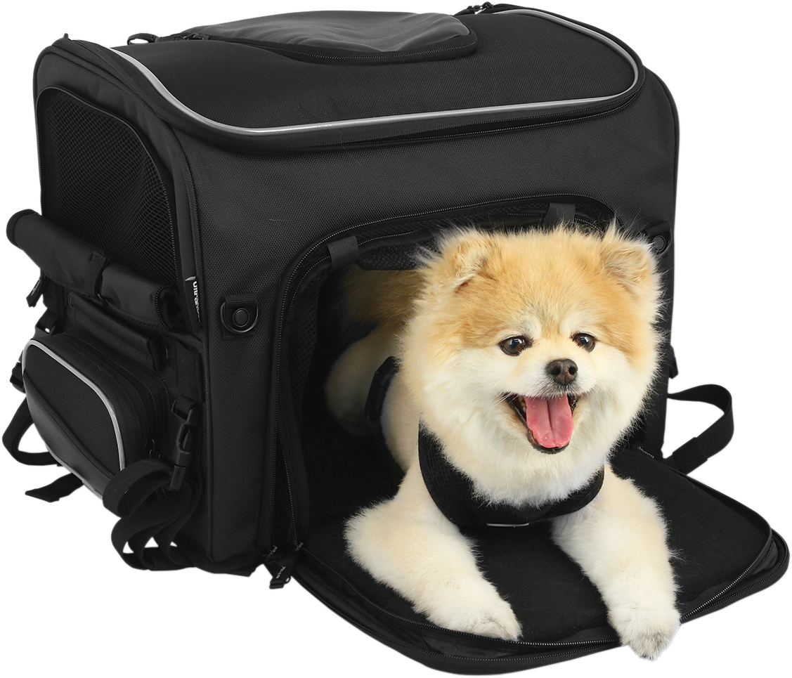 Nelson RIGG Route 1 Rover Pet Carrier - Black
