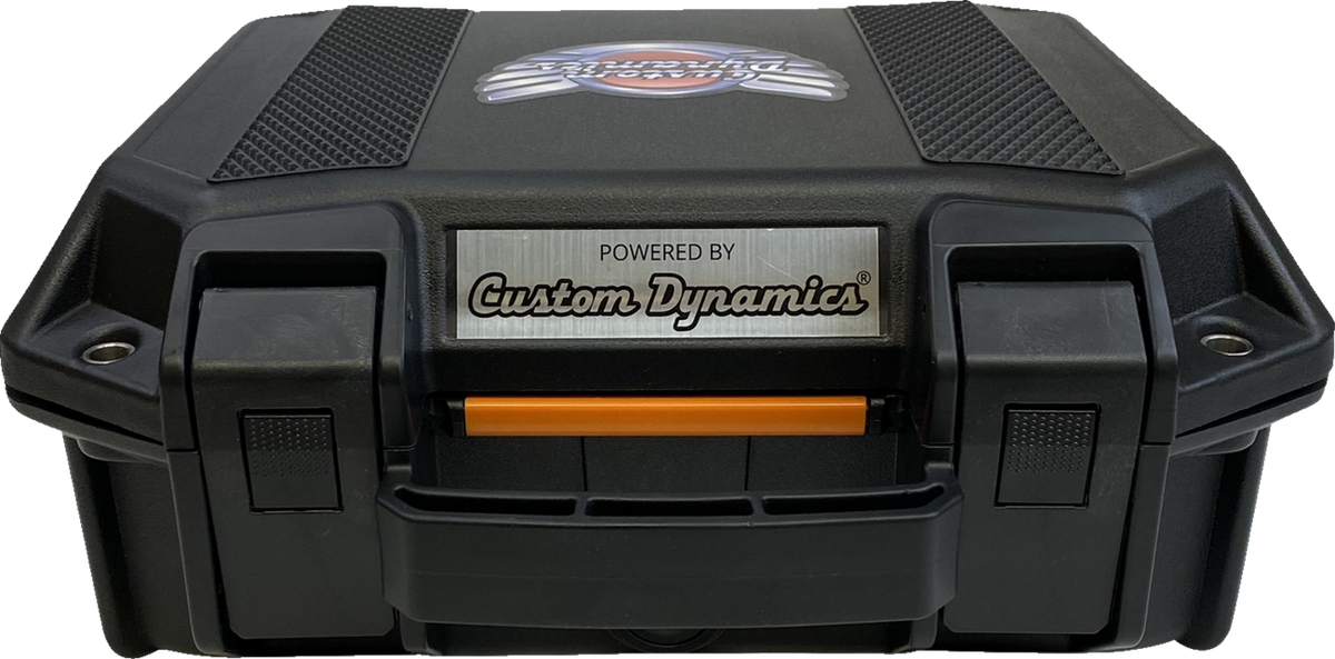 Custom Dynamics Lighting Product Test Case
