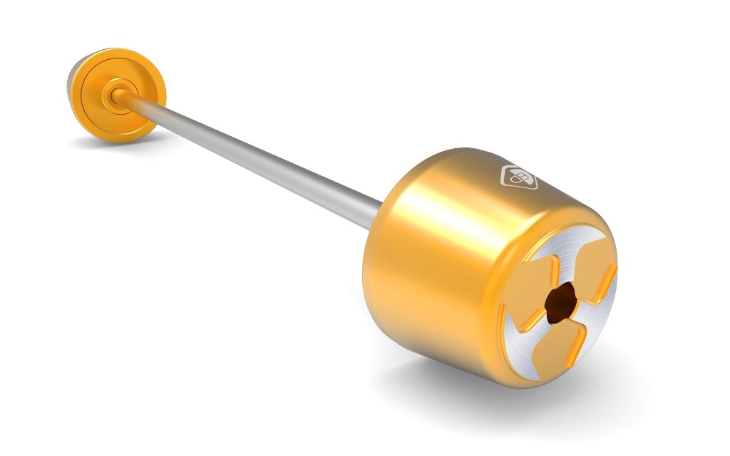 Ducabike DBK PFPL01 - Swingarm Protection