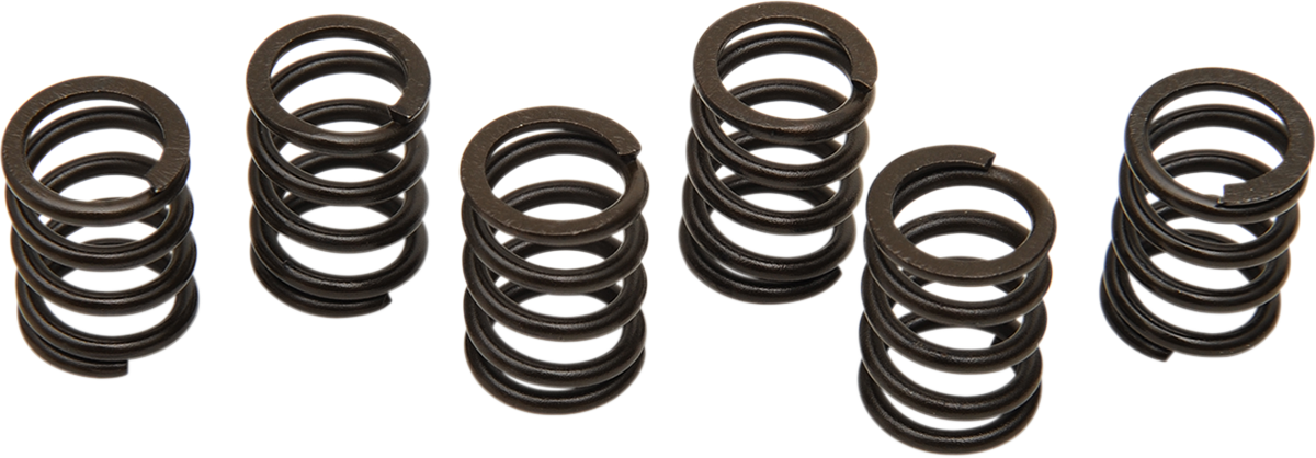 Barnett Clutch Spring Set - TL1000R/S