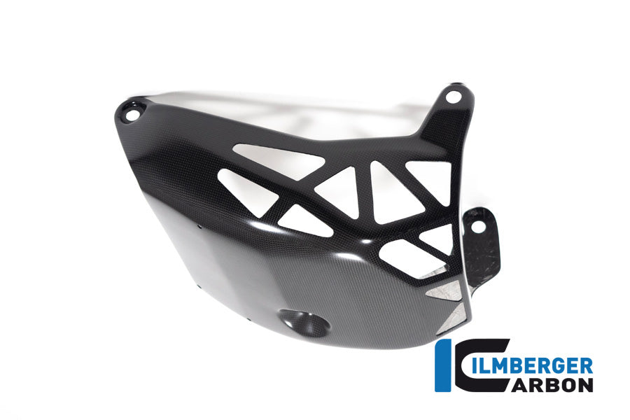 Ilmberger Carbon Motorcover Matt Surface Multistrada V4