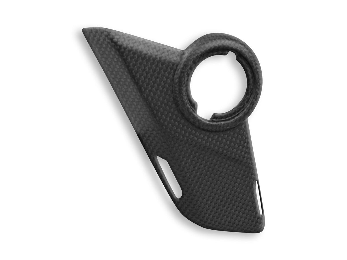 Ducabike DBK CRB100O - MTS V4 Matt Carbon Side Panels