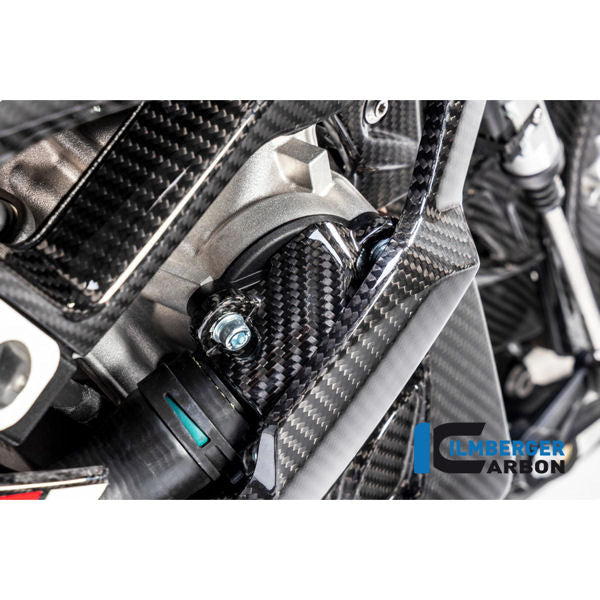 Ilmberger Carbon Engine Case Cover Slider Kit For BMW S1000RR 2019 2020