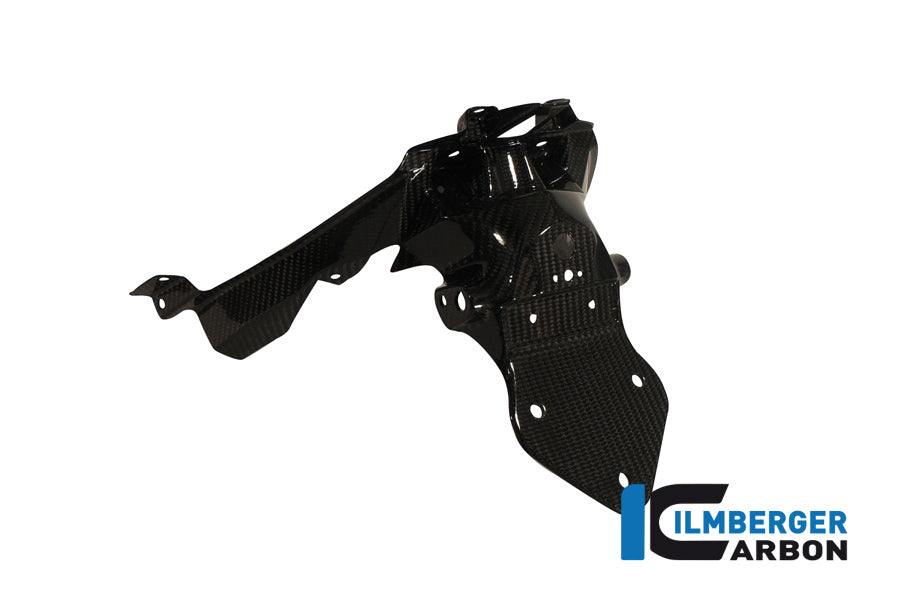 Ilmberger Carbon License Plate Holder Carbon