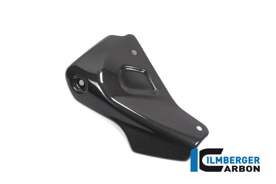 Ilmberger Carbon Exhaust Protector Ducati Monster 1200R - Gloss