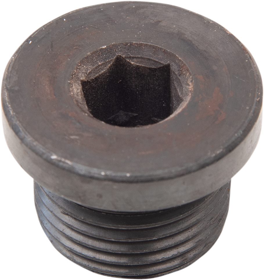 Daytona Twin TEC LLC O2 Sensor Plug