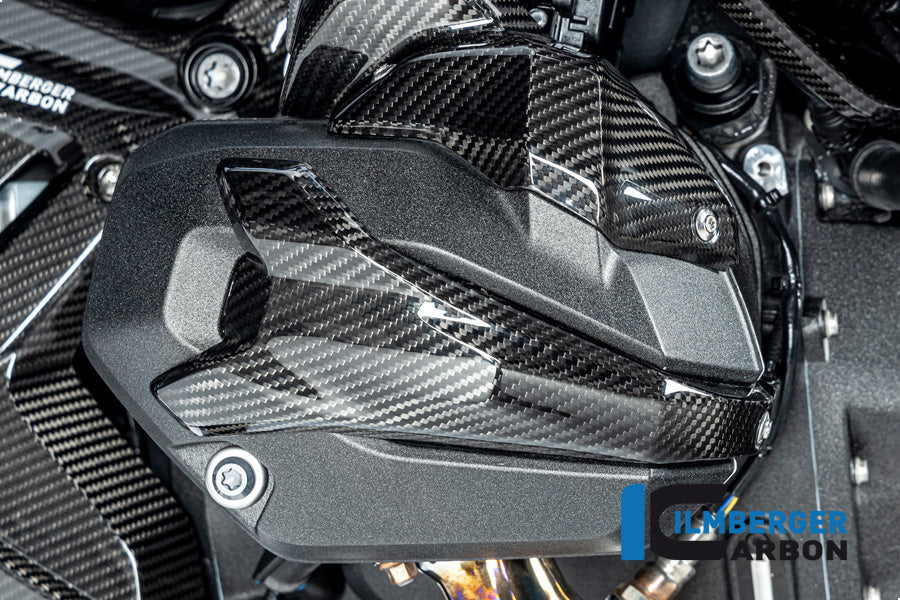 Ilmberger Carbon Spark Plug Access Cover Right BMW R 1300 GS - Gloss / Twill