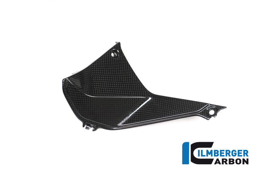 Ilmberger Carbon Abdeckung Links Neben Dem Cockpit BMW R1200RS'15
