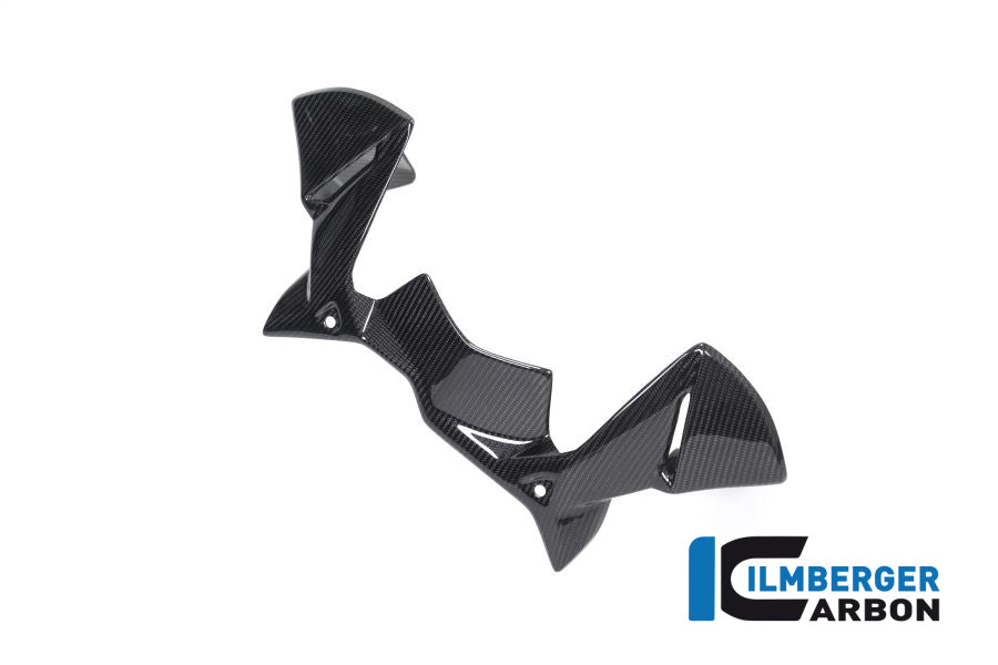 Ilmberger Carbon Windprotector On The Instruments BMW R 1250 GS
