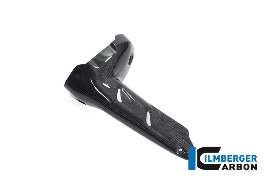Ilmberger Carbon Silencer Protector (Front) BMW R 1250 GS From 2019