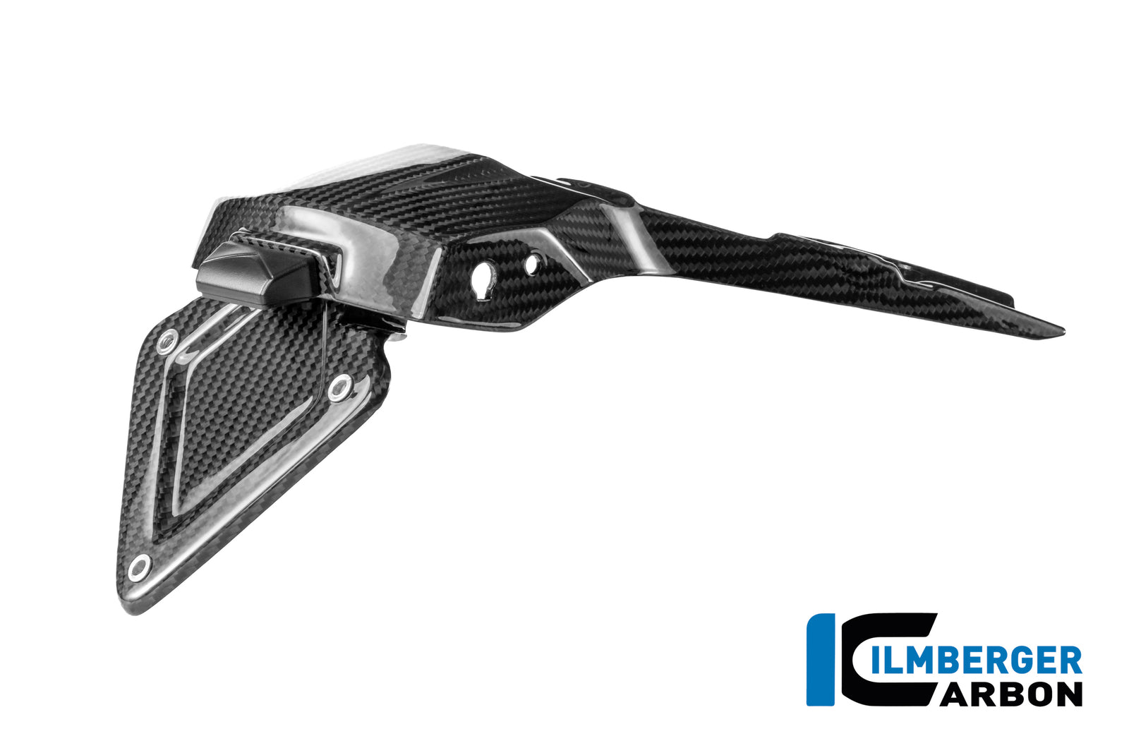 Ilmberger Carbon License Plate Holder BMW R 1300 R - Gloss / Twill