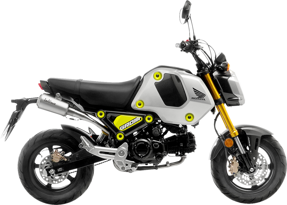 LeoVince LV-10 Exhaust System