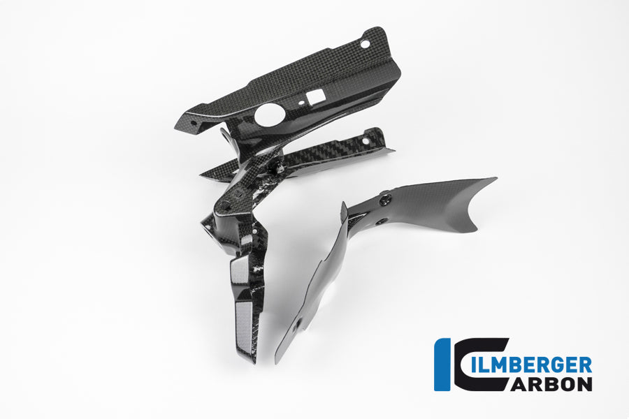 Ilmberger Carbon Numberplateholder Carbon - BMW R 1200 R (LC) From 2015 / BMW R 1200 RS (LC) From 2015