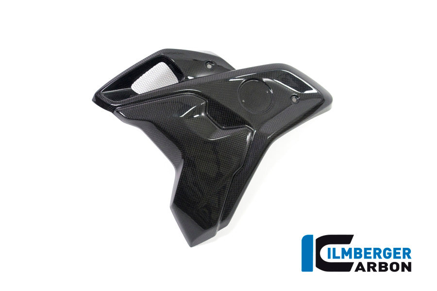 Ilmberger Carbon Airtube Left Side Complete Incl Flap BMW R 1200 GS´17