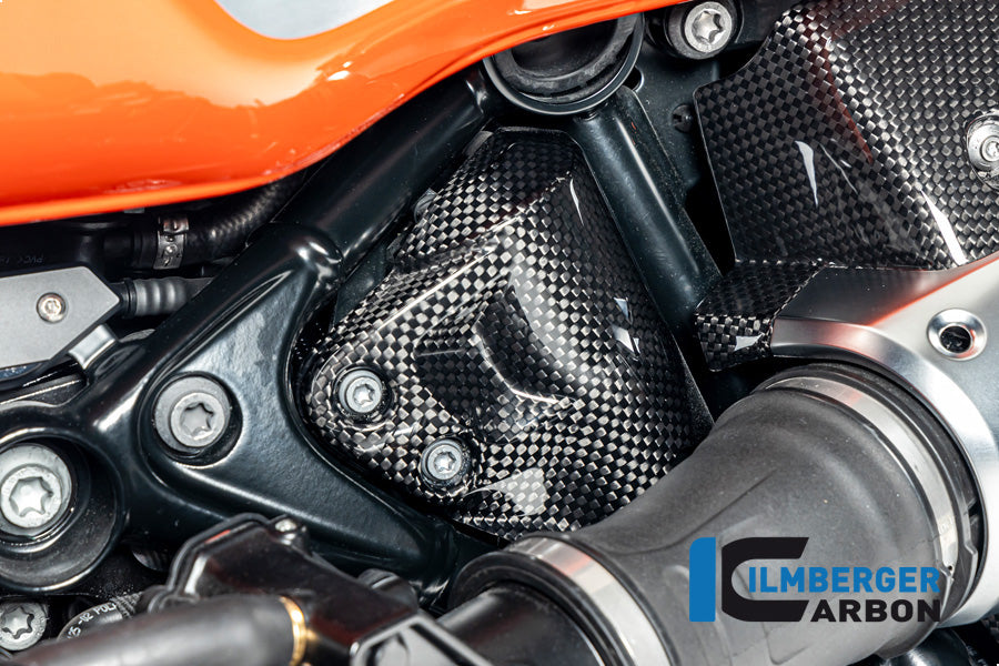 Ilmberger Carbon Tank Breather Cover BMW R12 NineT - Gloss / Twill