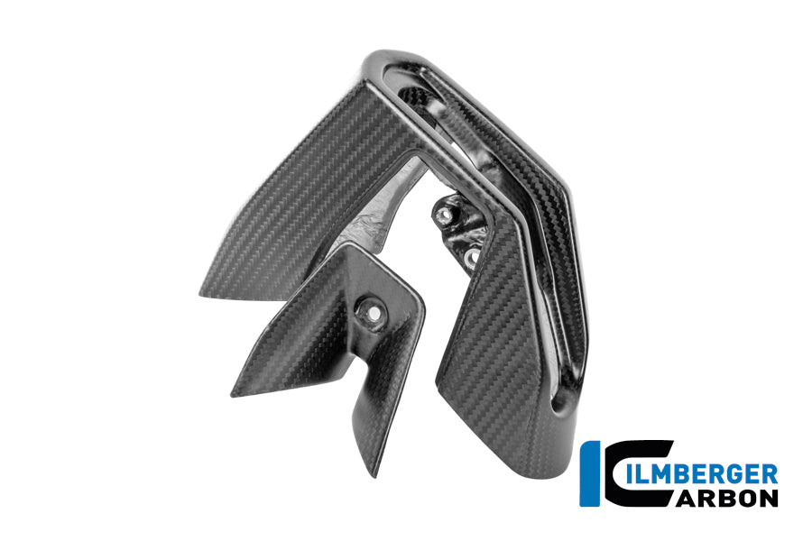 Ilmberger Carbon Exhaust End Cap Kit BMW R 1300 R - Matte / Twill