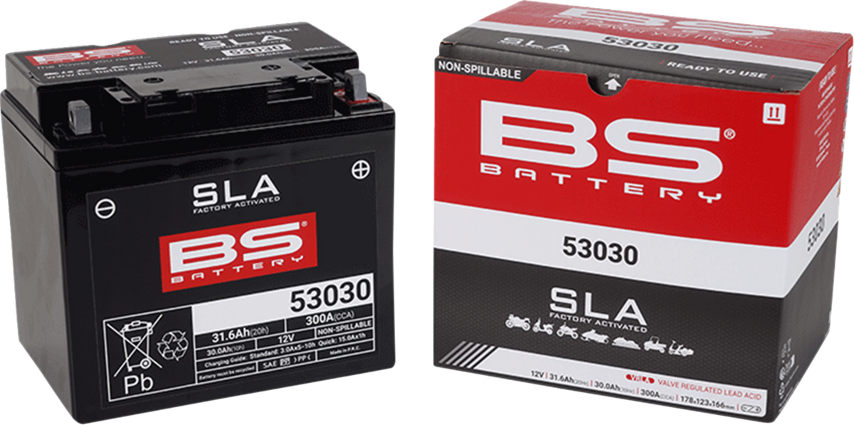 BS Battery Battery - 53030