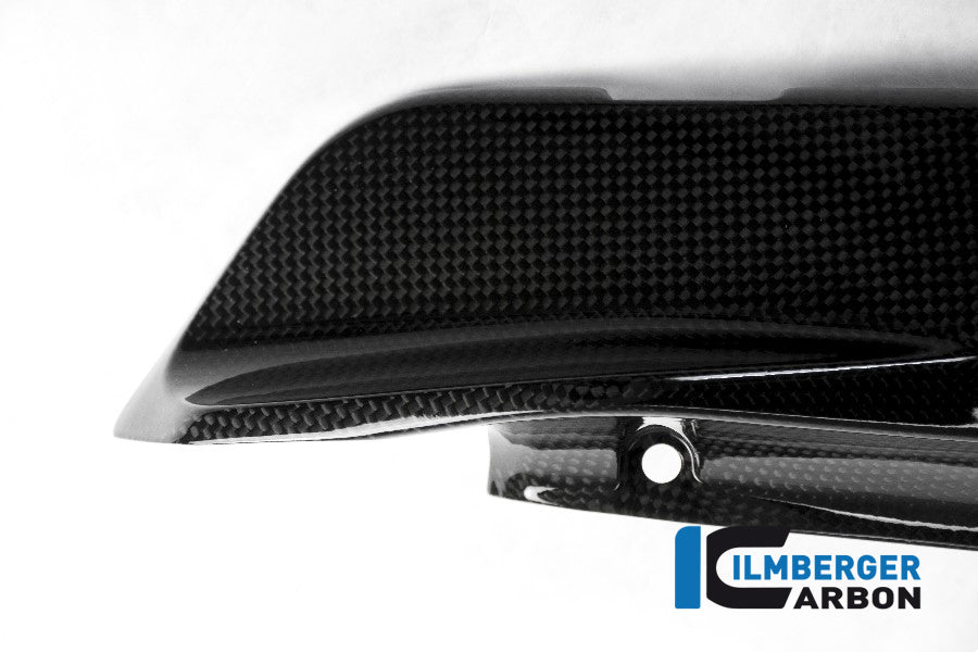 Ilmberger Carbon Cover Under The Frame Left - Gloss