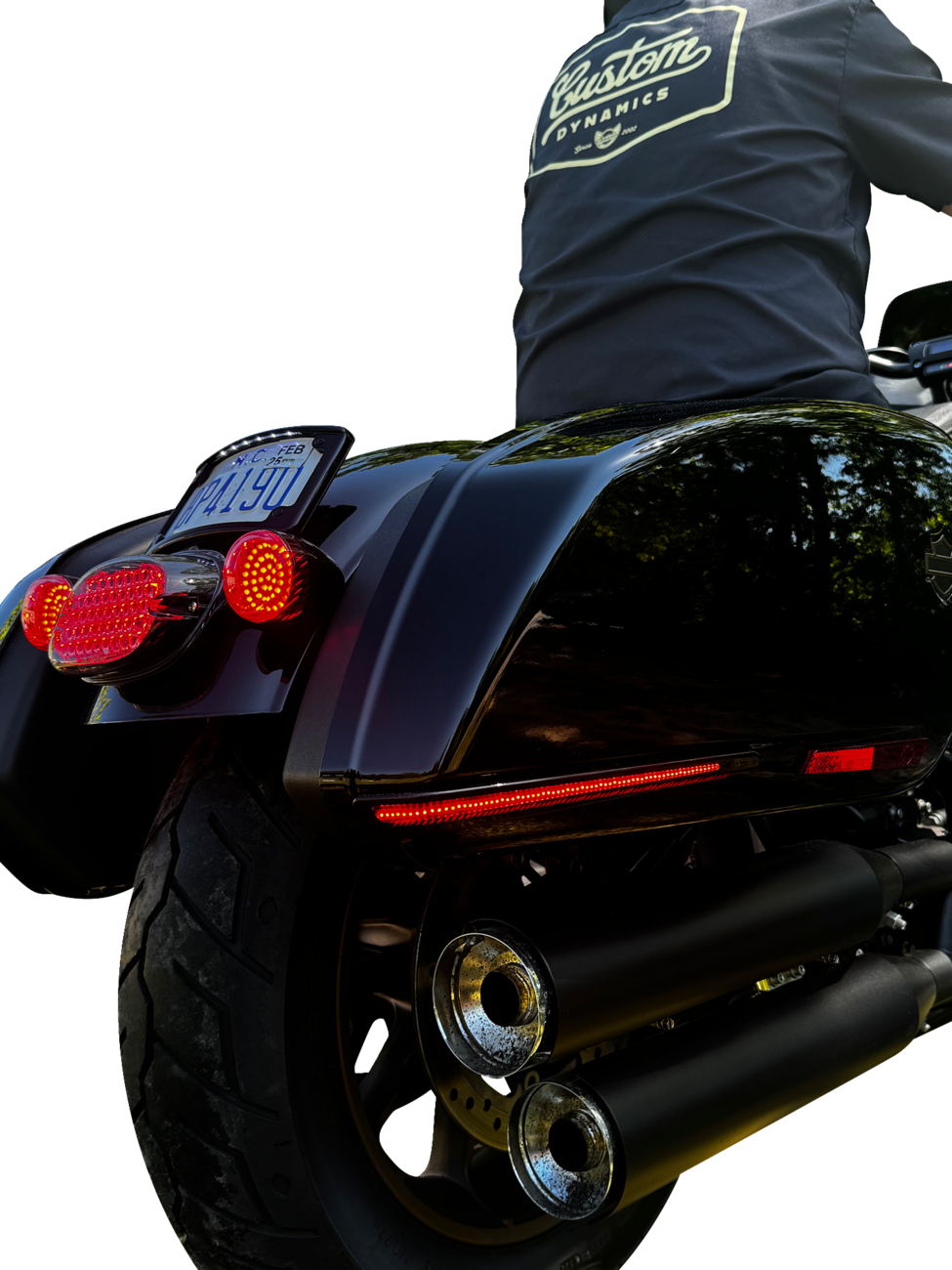 Custom Dynamics LED Saddlebag Lights