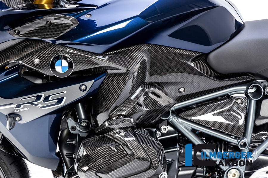 Ilmberger Carbon Side Panel Under The Tank Left Side BMW R 1250 RS