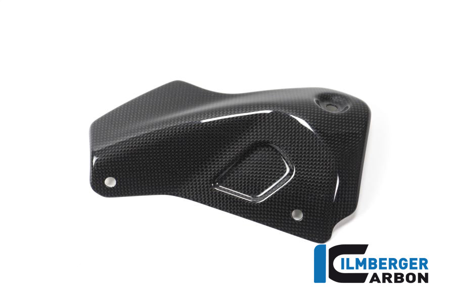 Ilmberger Carbon Exhaust Protector Ducati Monster 1200R - Gloss