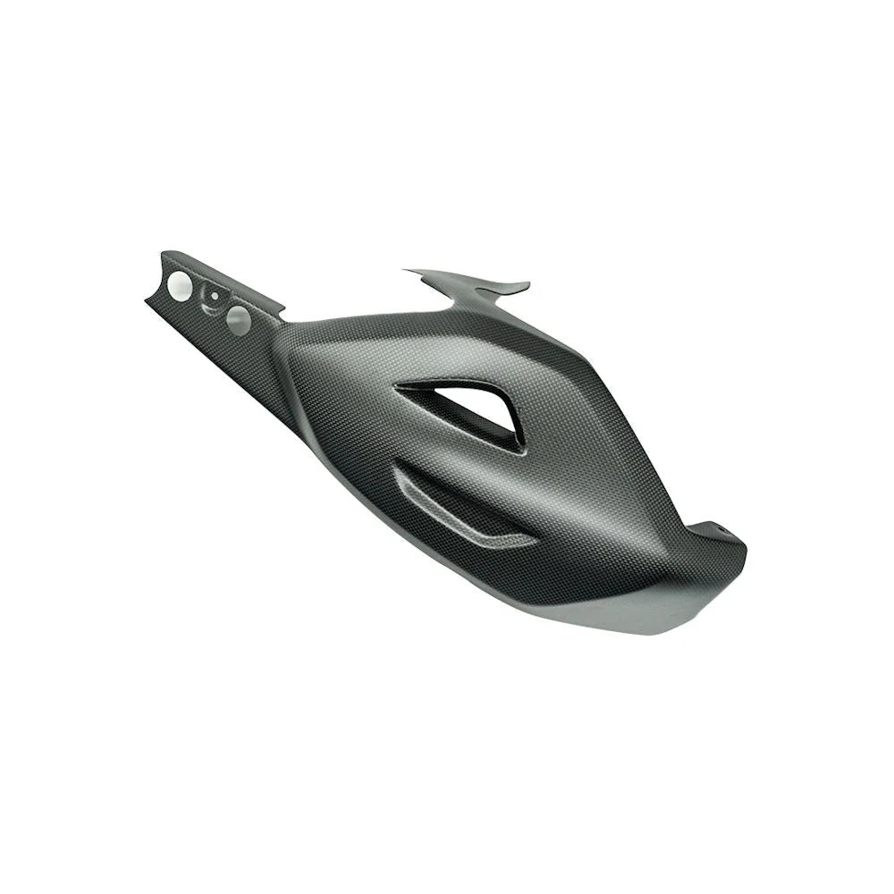 Ilmberger Carbon Fiber Satin Swing Arm Cover For Ducati Diavel V4