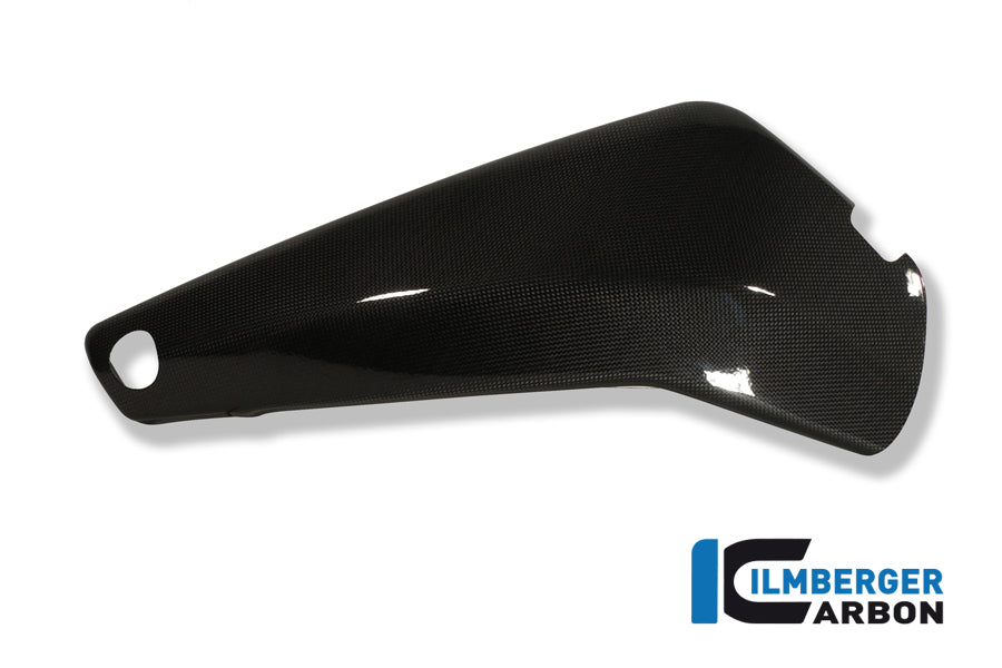 Ilmberger Carbon Swingarm Cover Right R/Cr Carbon. Buell 1125 R / 1125 CR