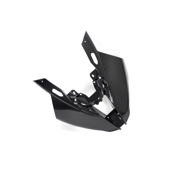 Ilmberger Carbon Fiber Headlight Front Fairing Panel BMW S1000RR K67